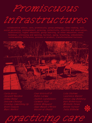 Pablo Lerma - Promiscuous Infrastructures - Couverture